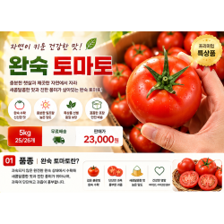 완숙 토마토 특상품 5kg (25~26개)