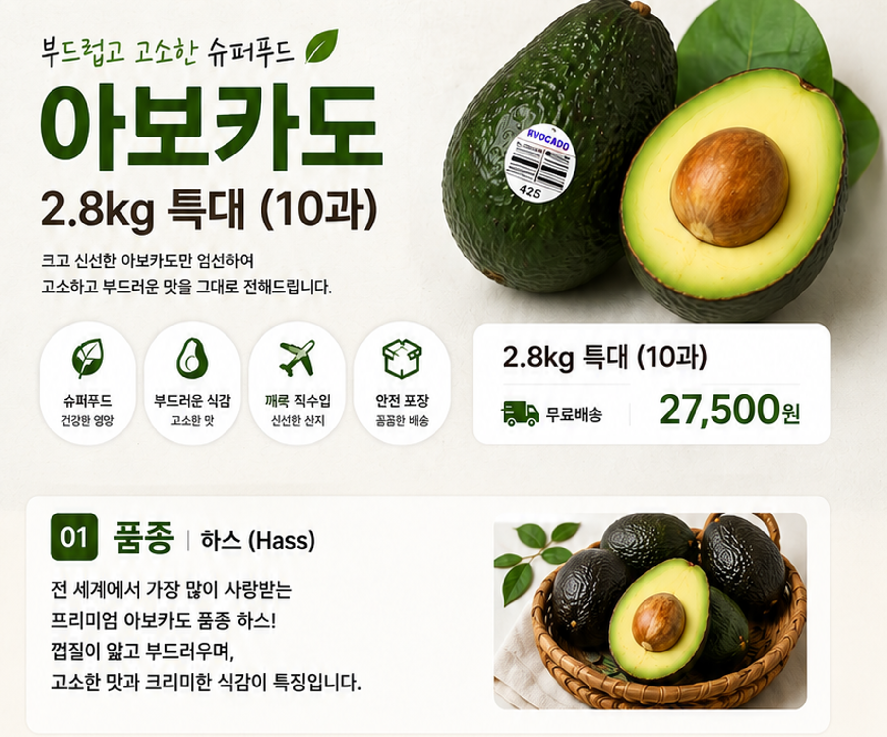 아보카도 2.8kg 특대 (10과)