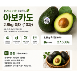 아보카도 2.8kg 특대 (10과)