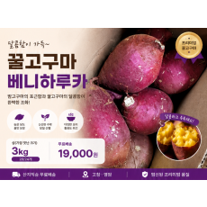 꿀고구마 베니하루카 (상-가장 맛난 크기) 3kg (20~24개)