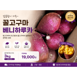 꿀고구마 베니하루카 (상-가장 맛난 크기) 3kg (20~24개)