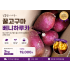 꿀고구마 베니하루카 (상-가장 맛난 크기) 3kg (20~24개)