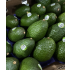 아보카도 1.5kg 특대 (5과)