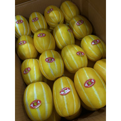 달콤하고 아삭한 [성주 참외] 2kg (중사이즈 7~8과)