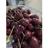 프리미엄 미국 생체리 1kg (22브릭스이상)