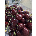 프리미엄 미국 생체리 1kg (22브릭스이상)