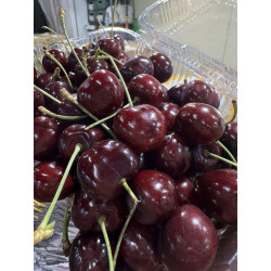 프리미엄 미국 생체리 1kg (22브릭스이상)