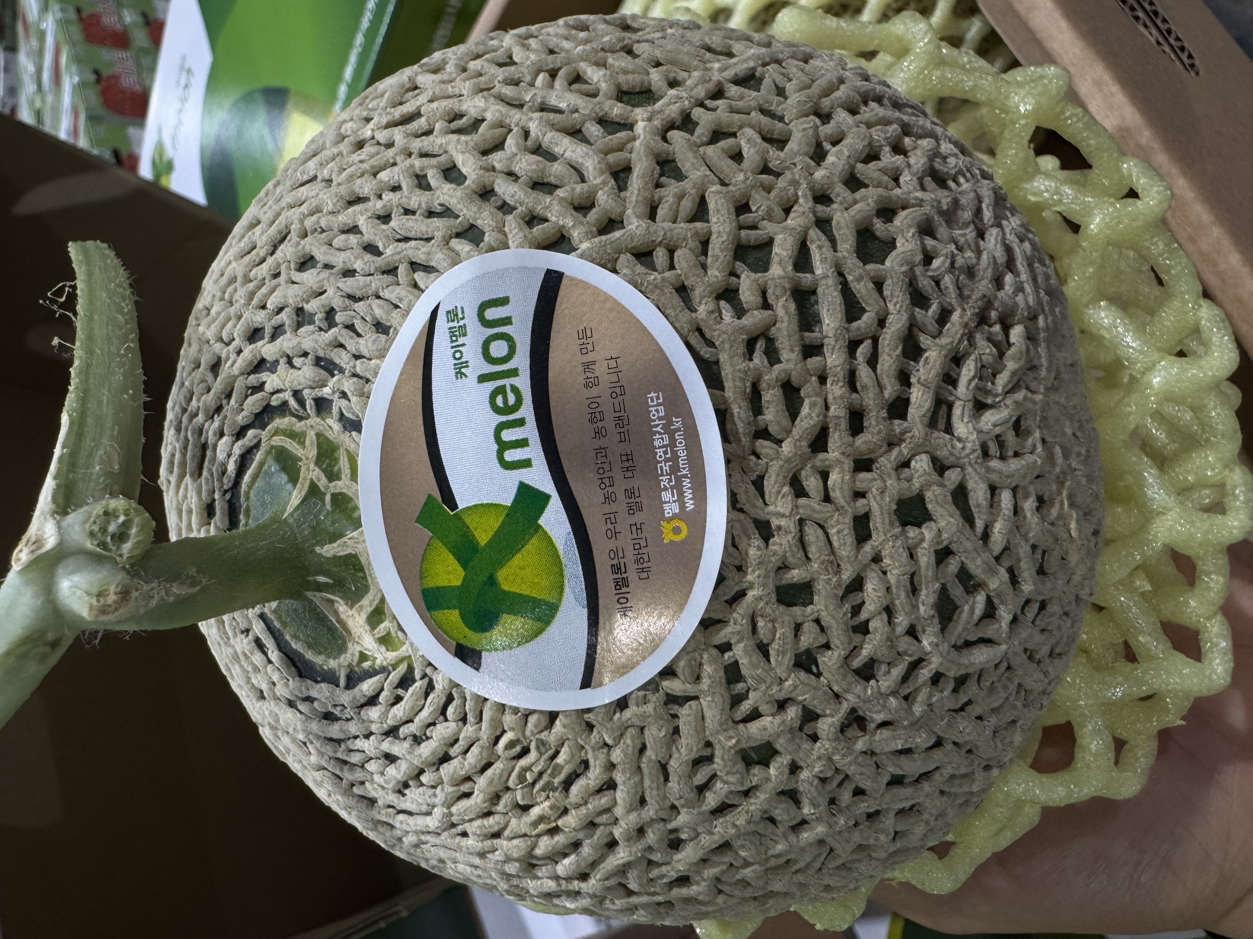 [전남 곡성 특산물]  K메론(머스크 메론) 4kg (총 2수)