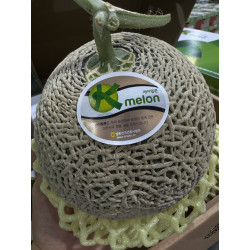 [전남 곡성 특산물]  K메론(머스크 메론) 4kg (총 2수)